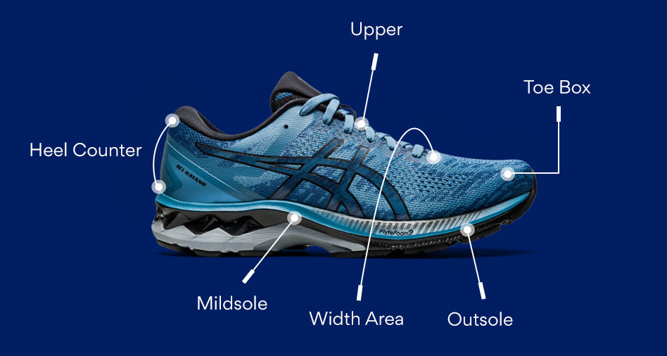 Anatomy Running Shoe, what makes up a running shoe